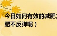 今日如何有效的减肥方法不反弹（如何有效减肥不反弹呢）