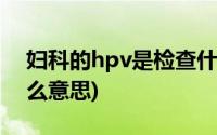 妇科的hpv是检查什么的(妇科检查hpv是什么意思)