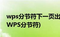 wps分节符下一页出现的空白页面怎么删除(WPS分节符)