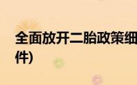 全面放开二胎政策细则(全面放开二胎政策文件)