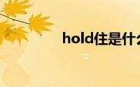 hold住是什么意思(hold)