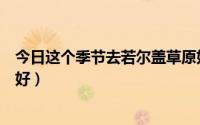 今日这个季节去若尔盖草原如何（若尔盖草原什么时候去最好）