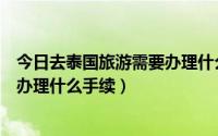 今日去泰国旅游需要办理什么手续和证件（去泰国旅游需要办理什么手续）