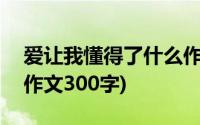 爱让我懂得了什么作文300字(我懂得了什么作文300字)