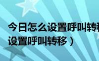 今日怎么设置呼叫转移到另一个手机号（怎么设置呼叫转移）