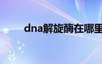 dna解旋酶在哪里合成(dna解旋酶)