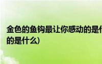 金色的鱼钩最让你感动的是什么句子(金色的鱼钩最让你感动的是什么)