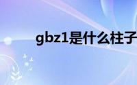 gbz1是什么柱子(gbz是什么柱子)