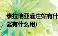 泰拉瑞亚灌注站有什么用(泰拉瑞亚药水灌输器有什么用)