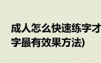 成人怎么快速练字才能有效果(成年人如何练字最有效果方法)