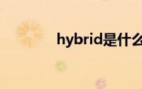 hybrid是什么意思(hybrid)