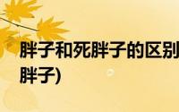 胖子和死胖子的区别(为什么胖人都被称为死胖子)