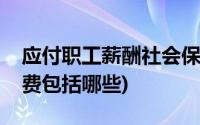 应付职工薪酬社会保险费包括哪些(社会保险费包括哪些)