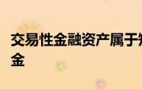 交易性金融资产属于短期投资还是其他货币资金