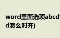 word里面选项abcd如何对齐(word文档abcd怎么对齐)