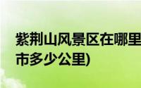 紫荆山风景区在哪里(荆紫仙山景区距离西安市多少公里)