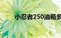 小忍者250油箱多少升(小忍者250)