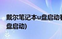 戴尔笔记本u盘启动看不到硬盘(戴尔笔记本u盘启动)