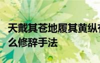 天戴其苍地履其黄纵有千古横有八荒运用了什么修辞手法