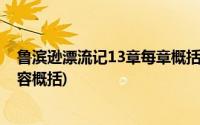 鲁滨逊漂流记13章每章概括(鲁滨逊漂流记14章每一章的内容概括)