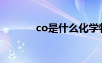 co是什么化学物质(co是什么)