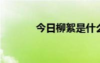 今日柳絮是什么柳絮怎么防护