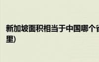 新加坡面积相当于中国哪个省(新加坡国土面积相当于中国哪里)