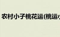 农村小子桃花运(桃运小农民的风流事王铁棍)