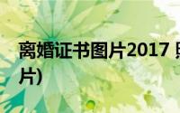 离婚证书图片2017 照片(2018离婚证样本图片)