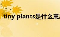 tiny plants是什么意思(plants是什么意思)