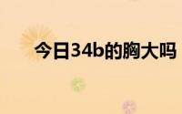 今日34b的胸大吗（34B算胸部大吗）