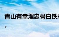 青山有幸埋忠骨白铁意为投下一个无辜的仆人。