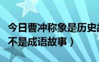 今日曹冲称象是历史故事成语吗（曹冲称象是不是成语故事）