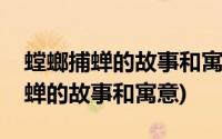 螳螂捕蝉的故事和寓意的欲取蝉的取(螳螂捕蝉的故事和寓意)