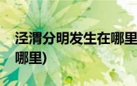 泾渭分明发生在哪里的器官(泾渭分明发生在哪里)