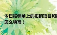 今日报销单上的报销项目和摘要怎么填（报销单项目和摘要怎么填写）