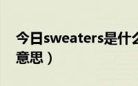 今日sweaters是什么意思（sweater是什么意思）