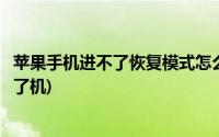 苹果手机进不了恢复模式怎么办(苹果手机恢复模式失败开不了机)