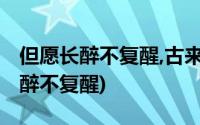 但愿长醉不复醒,古来圣贤皆寂寞意思(但愿长醉不复醒)