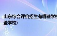 山东综合评价招生有哪些学校可以报(山东综合评价招生有哪些学校)