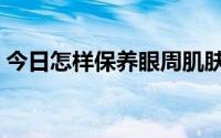 今日怎样保养眼周肌肤（怎样保养眼部皮肤）