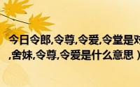 今日令郎,令尊,令爱,令堂是对什么人的称呼（令堂,令郎,犬子,舍妹,令尊,令爱是什么意思）