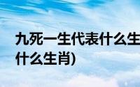 九死一生代表什么生肖和动物(九死一生代表什么生肖)