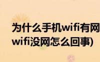 为什么手机wifi有网电脑没网(电脑有网手机wifi没网怎么回事)