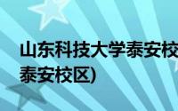 山东科技大学泰安校区多少亩(山东科技大学泰安校区)