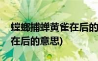 螳螂捕蝉黄雀在后的什么意思(螳螂捕蝉黄雀在后的意思)