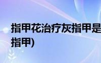 指甲花治疗灰指甲是天天用吗(指甲花治疗灰指甲)