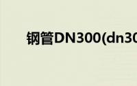 钢管DN300(dn300钢管是什么意思)