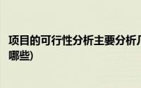 项目的可行性分析主要分析几个方面(项目的可行性分析包括哪些)