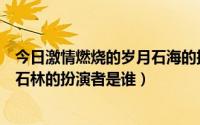 今日激情燃烧的岁月石海的扮演者是谁（激情燃烧的岁月里石林的扮演者是谁）